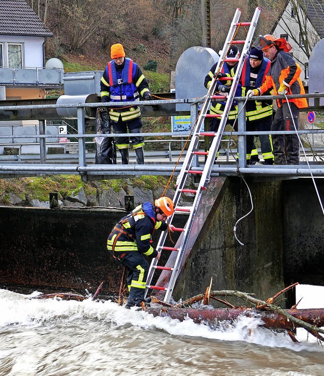 Ganz schn gefordert waren die Einsatz...tauwehr Legi  verkeilte Tanne bergen.   | Foto: Martin Klabund