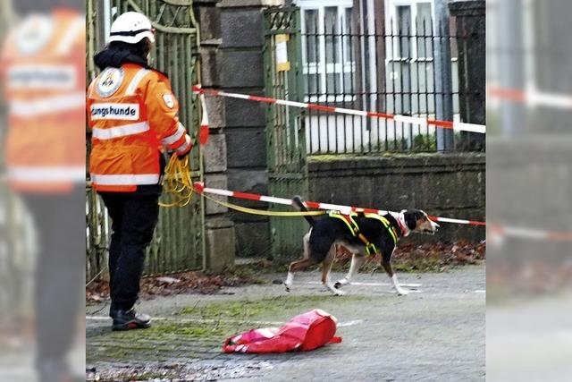 Rettungshunde trainieren Trmmersuche