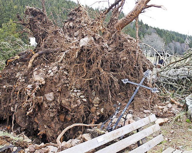 Ein umgestrzter Baum riss an der Wittlisberger Kapelle auch das Wegkreuz mit.   | Foto: Cornelia Liebwein