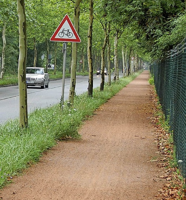Bietet  Diskussionsstoff: Radweg an der Alte Strae   | Foto: Frey