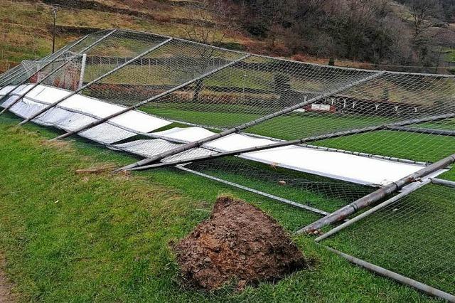 Fuballer bentigen nach Sturm neuen Ballfangzaun