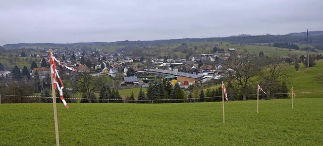 Der Einschnitt durch die A98 ins Lands...das die Stadt in Auftrag gegeben hat.   | Foto: Horatio Gollin