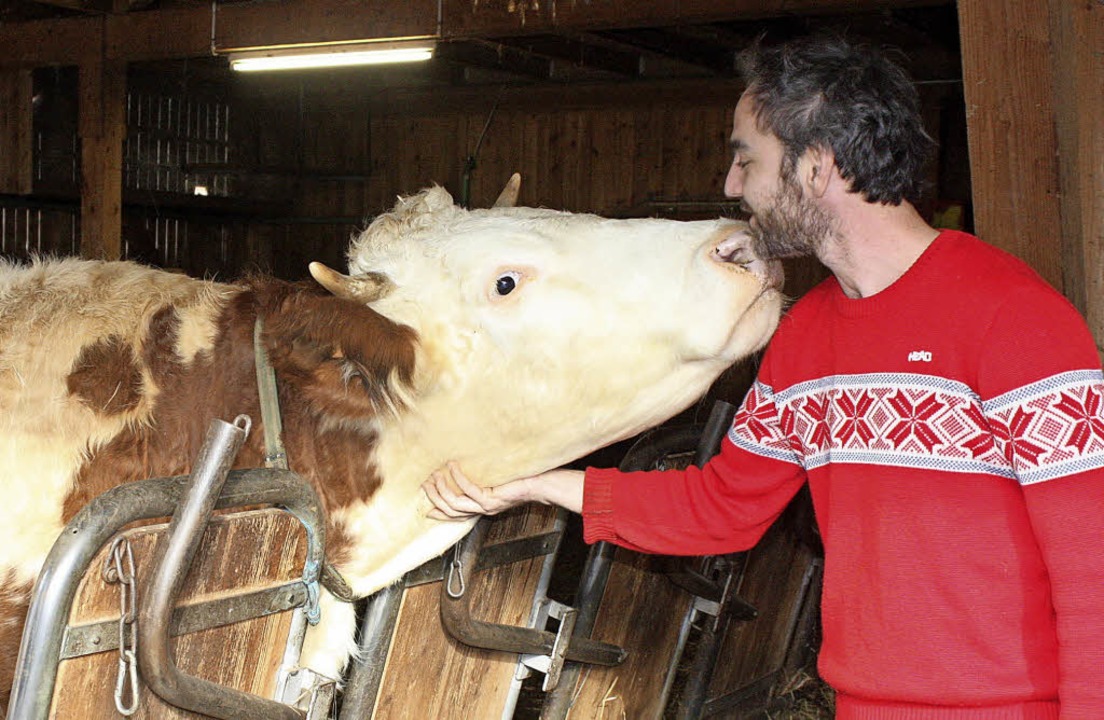 Milchkuh Angelika und Landwirt Johanne...0 Gemse- und Getreidearten angebaut.   | Foto: Barbara Schmidt