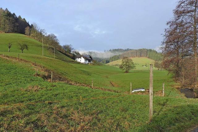 Neue Brcken und Wege zu den Hfen