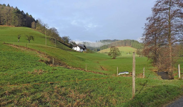 Mit dem Flurneuordnungsverfahren werde...Kosten, die Stadt einen weiteren Teil.  | Foto: Sylvia Sredniawa