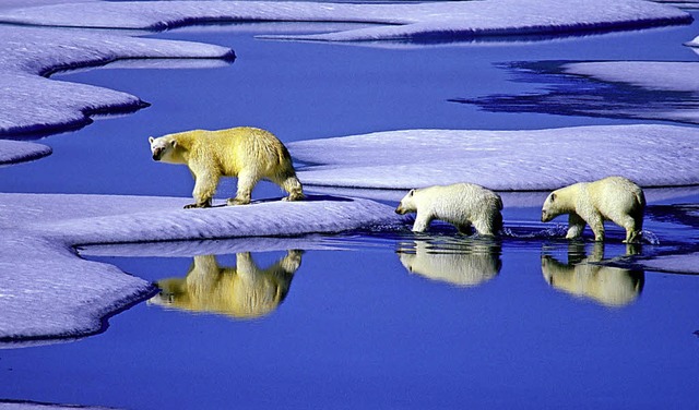 &#8222;Der Klimawandel ist im Gang. Ni...er Protestaktion am kommenden Sonntag.  | Foto: Dpa