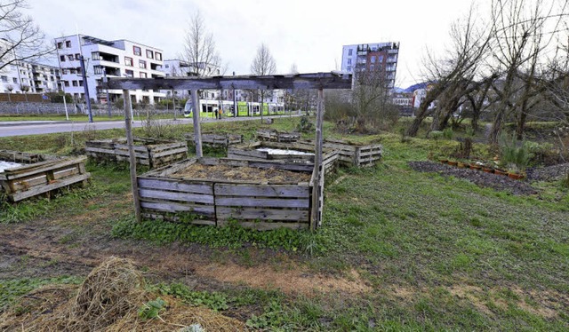 Das Gelnde mit dem &#8222;Weidenpalas...n, statt ein Parkhaus zu beherbergen.   | Foto: Ingo Schneider