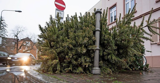 Abgelegt am Straenrand, werden in den...nd schmuckfreie Christbume abgeholt.   | Foto: Fabian Sommer /dpa