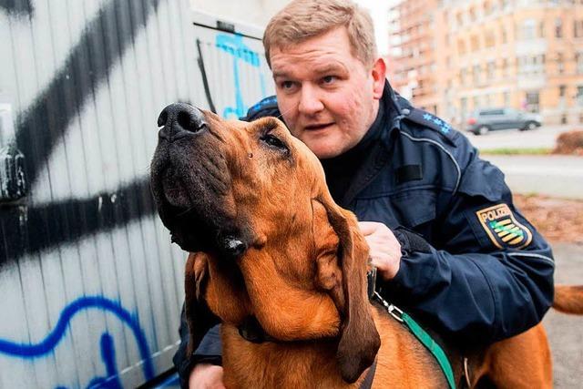 Polizeihunde knnen DNA riechen