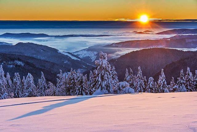 Schwarzwald Tourismus will Vermarktung im sozialen Netz ausbauen