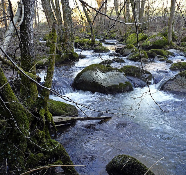 Wild-romantisch: Seit zehn Jahren fhr...chtensteig  von Sthlingen nach Wehr.   | Foto: Naturpark Sdschwarzwald