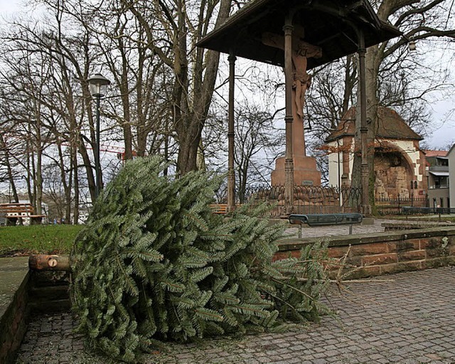 Christbaumsammelstelle fr die Innenstadt am lberg  | Foto: Stadt Offenburg