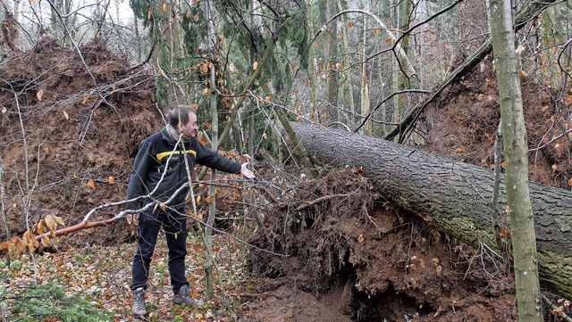 Forstbezirksleiter Bernhard Schirmer a...lnde der Werksiedlung St. Christoph.   | Foto: Cremer