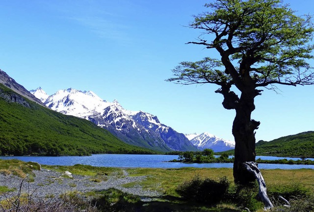 Aufnahmen von unterwegs: Eindrcke von Gerhard Silberers Tour durch Patagonien.   | Foto: Gerhard Silberer