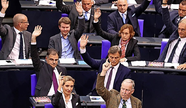 Teile der AfD-Fraktion im Bundestag   | Foto: dpa