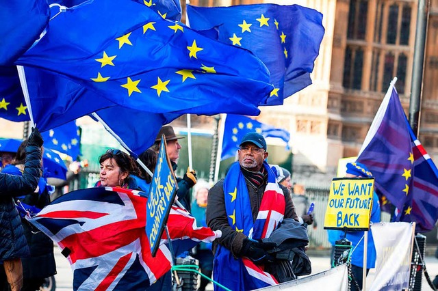 Anti-Brexit-Demonstranten in London  | Foto: dpa