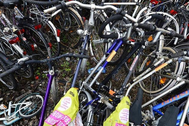 Stadt Freiburg lässt Schrottfahrräder entfernen