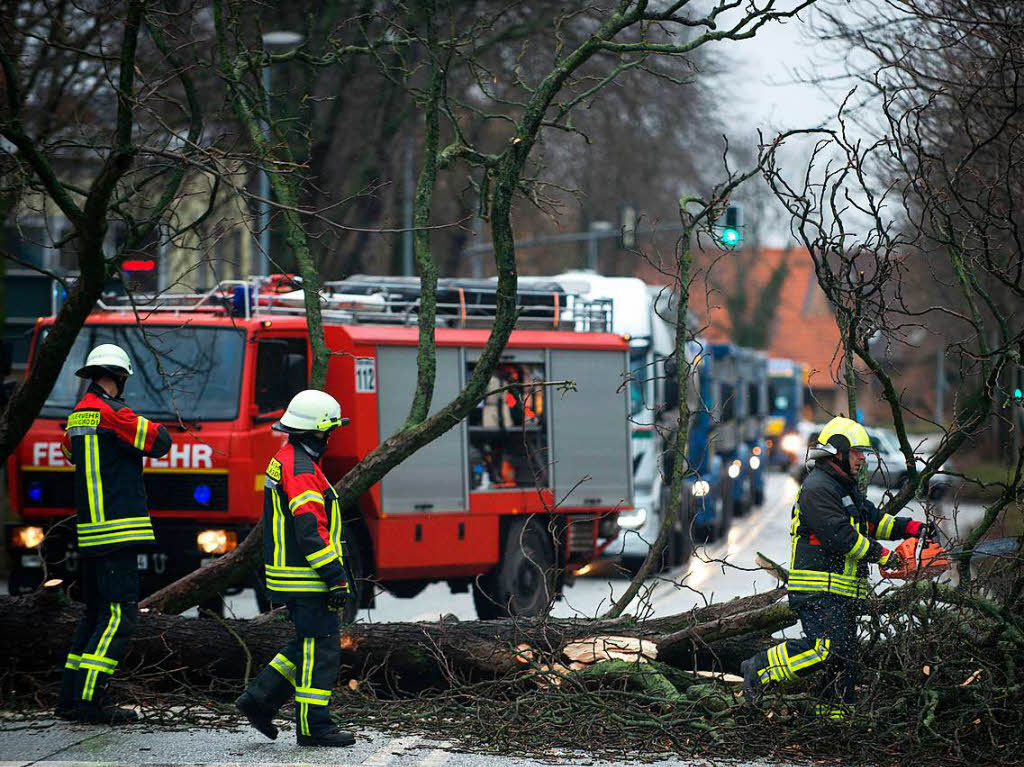 Feuerwehrleute beseitigen  in Wernigerode (Sachsen-Anhalt) einen Baum, der quer auf der Fahrbahn liegt.