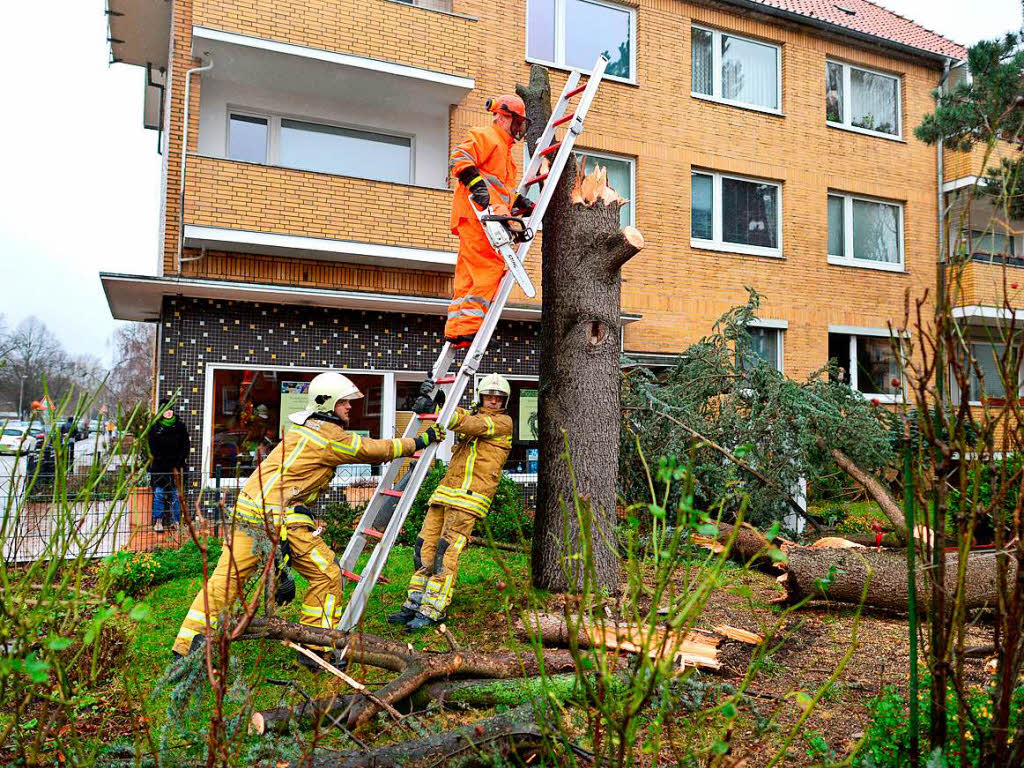 Feuerwehrleute zersgen vor einem Mehrfamilienhaus im Stadtteil Mittelfeld in Hannover (Niedersachsen) einen Baum, der zuvor auf die Strae gefallen war.