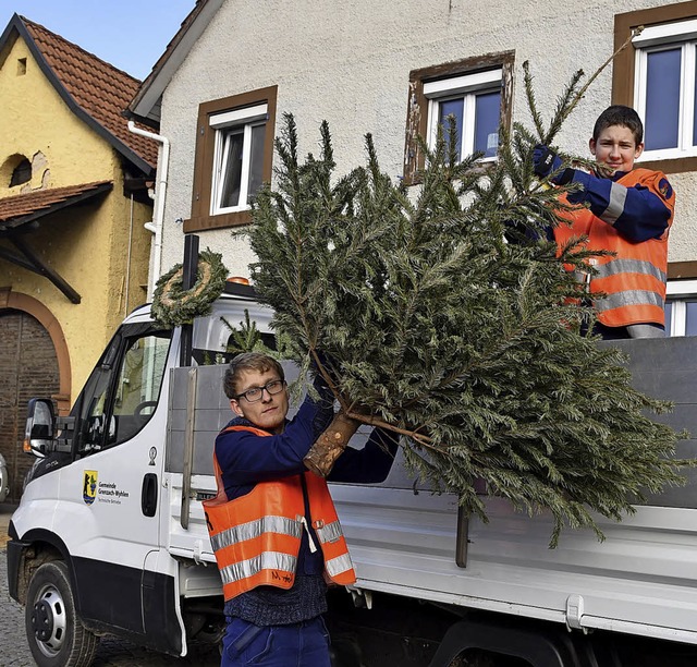 Die Jugendfeuerwehr finanziert sich au...r die jhrliche Weihnachtsbaumaktion.   | Foto: Martin Eckert