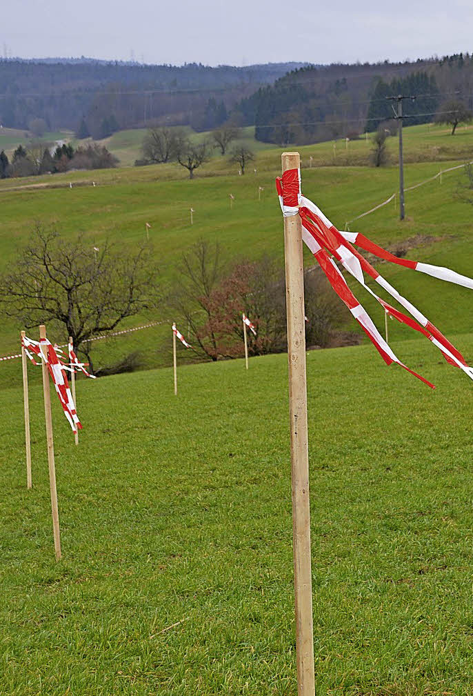 Nach Bestem Wissen Und Gewissen Synonym www.badische-zeitung.de