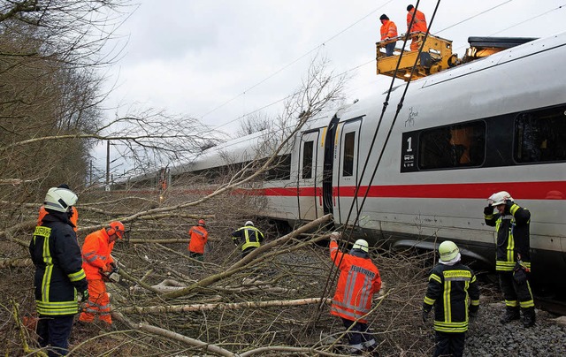 Kettensgen im Dauereinsatz: Auf diese...sen Zug fielen in Niedersachsen Bume.  | Foto: dpa