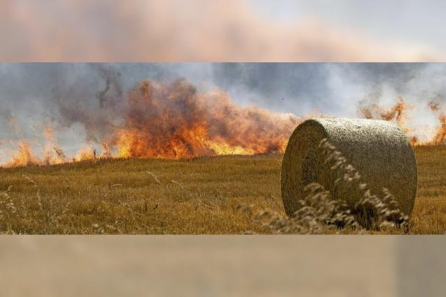 Einsatzreiches Jahr fr Mllheimer Feuerwehr