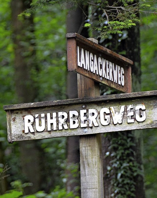 Groe Waldausflge sind zur Zeit nicht...die Revierleiter rund um Rheinfelden.   | Foto: Peter Gerigk