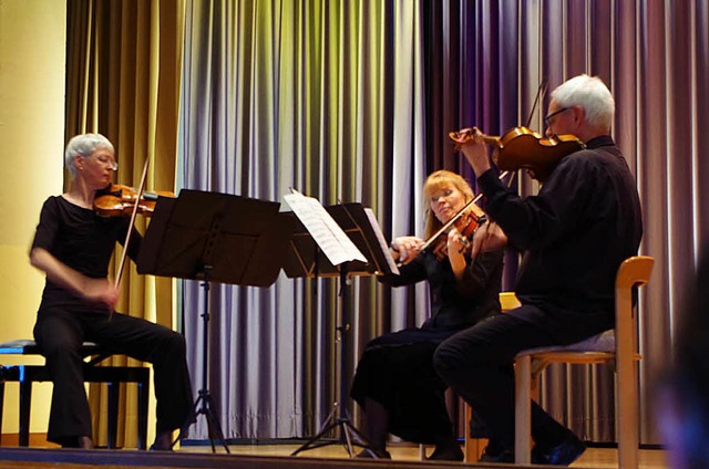 Das Humboldt-Trio in der Festhalle des Zentrums fr Psychiatrie  | Foto: Katharina Bchle