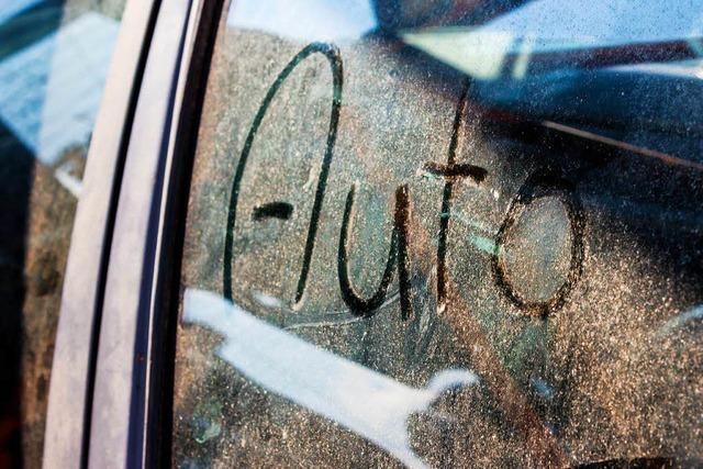 Unbekannte entsorgen fnf Autos in Haltingen