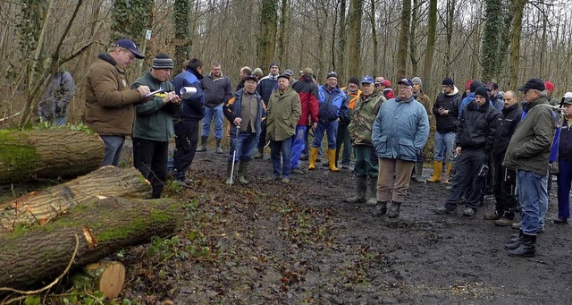 Fast 900 Ster Brennholz haben Brger im Wald von Altenheim ersteigert.   | Foto: Dieter Fink