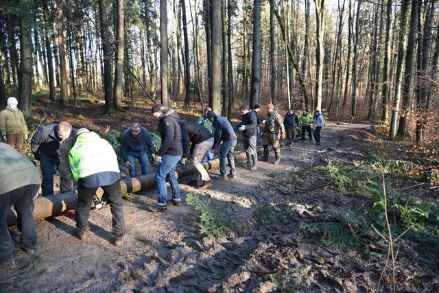 Fotos: Narrenbaumsteller in Grenzach bereiten den Baum vor