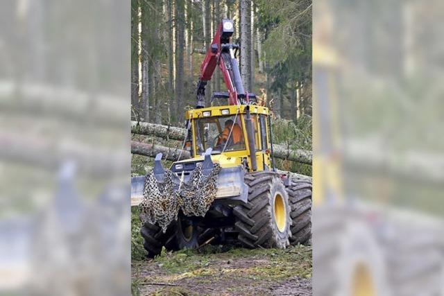 Die Waldwege weiter meiden