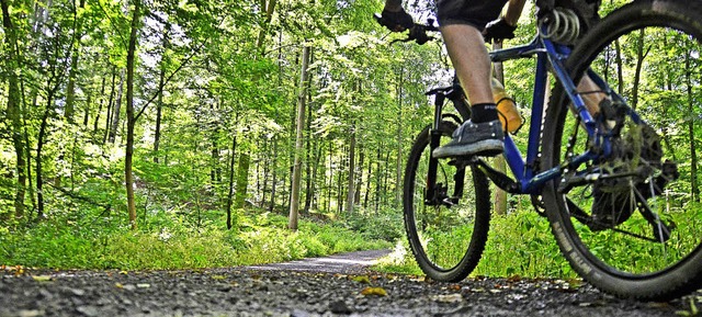 Naturschtzer sehen das Mountainbikewegenetz kritisch.   | Foto: dpa