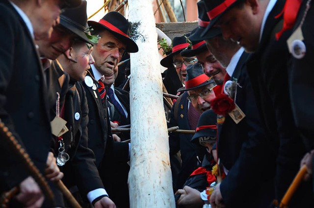 Die Wlder stellen  den Narrenbaum.  | Foto: Felix Held