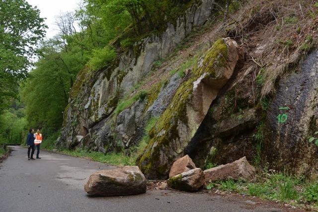 Albtalstrecke soll wieder geffnet werden – Land zahlt Sanierung