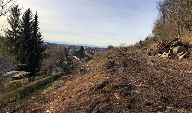 Rodungen am Altenberg: Das neue Habitat der Schlingnattern wird eingerichtet.  | Foto: Privat