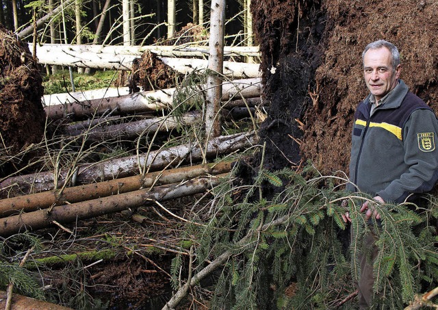 Andreas Wolf ist Revierleiter des Hfi...amt der Wurzel aus der Erde gezogen.    | Foto: Guy Simon