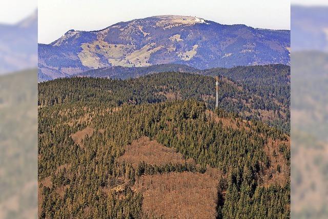 Fischbeck ber Motive der Zeller Brgerinitiative 