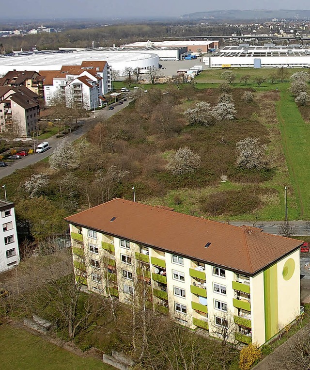 Im neuen Programm widmen sich die Stad... Hohen Strae geplanten Neubaugebiet.   | Foto: Frey