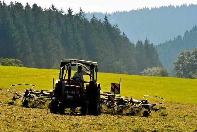 Prozess um toten Erntehelfer: Landwirt beteuert seine Unschuld