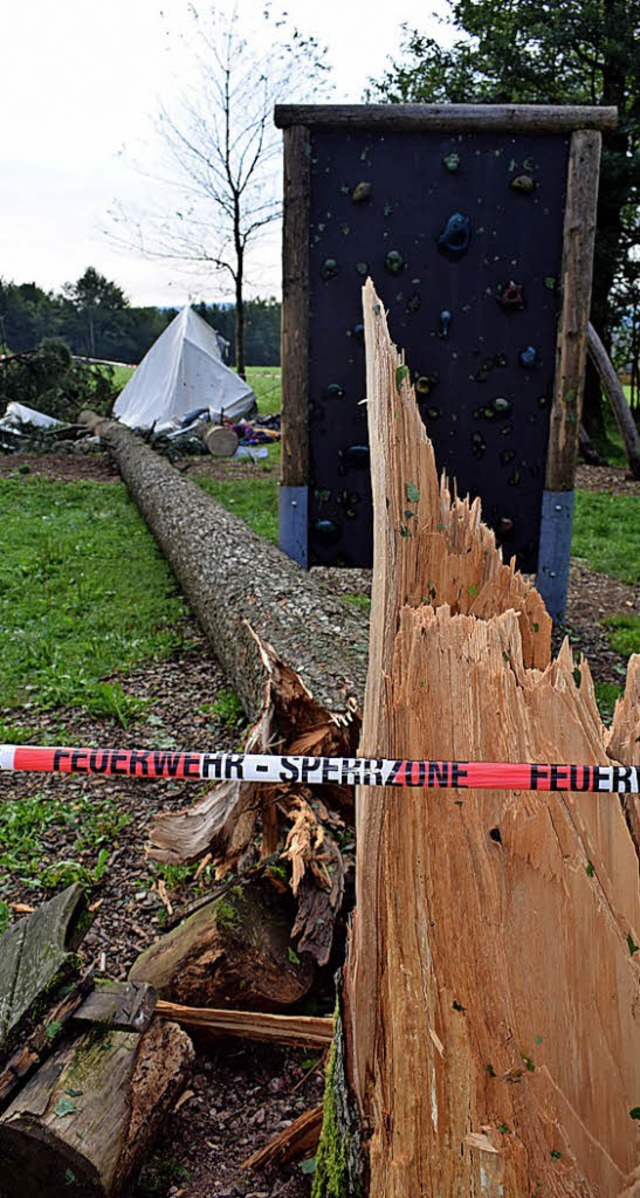 In Rickenbach kam  im August  ein  Jun...rch einen umgestrzten Baum ums Leben.  | Foto:  Krug