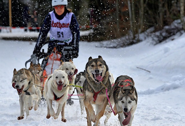 Bei besten Schneeverhltnissen sollten...erhinderten das Ereignis dieses Jahr.   | Foto:  Rothermel/dpa