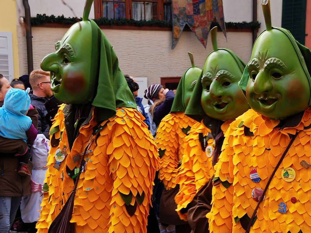 Narren zu Gast bei Freunden war das Motto des groen umzugs am Sonntag in Laufenburg.