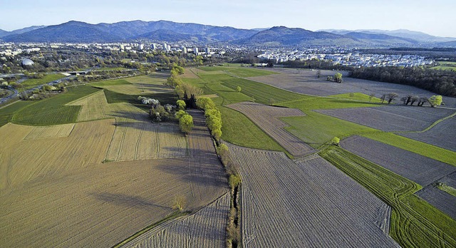 Die Bauflche im Gewann Dietenbach &#8... Hintergrund der Stadtteil Rieselfeld   | Foto: Michael saurer