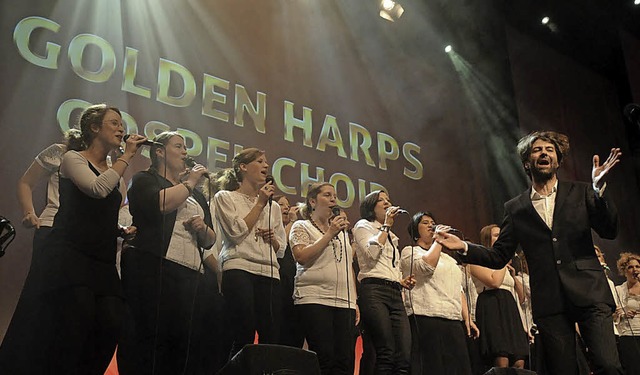 Die Golden Harps singen am Samstag in Kippenheim fr den guten Zweck.   | Foto: Privat