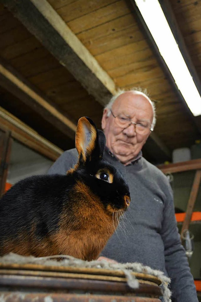 Die Lohkaninchen schwarz vom Heiligenz...zmann sorgen bundesweit fr Aufsehen.   | Foto: Felix Lieschke