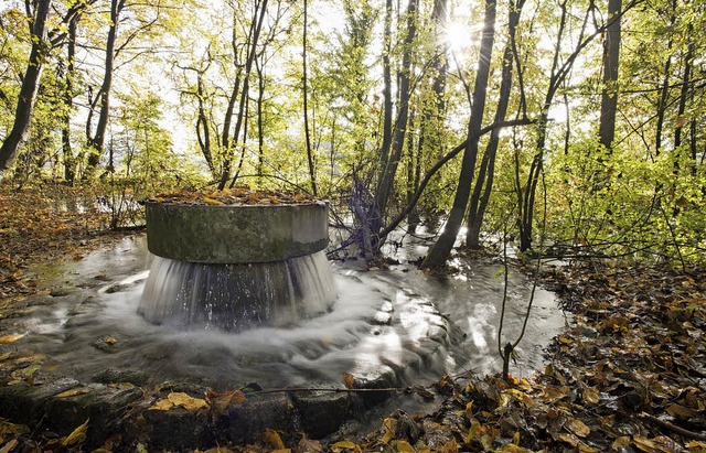 Wasser sprudelt in eine Wsserstelle d...wasserproduktion in den Langen Erlen.   | Foto: Christian Flierl