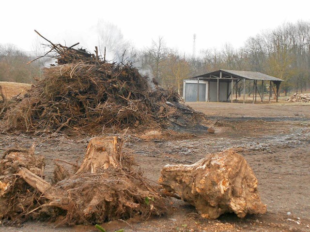 2013 war das Fasnachtsfeuer in Eimeldi.... Aber die Umweltsnder sind gefunden.  | Foto: langelott