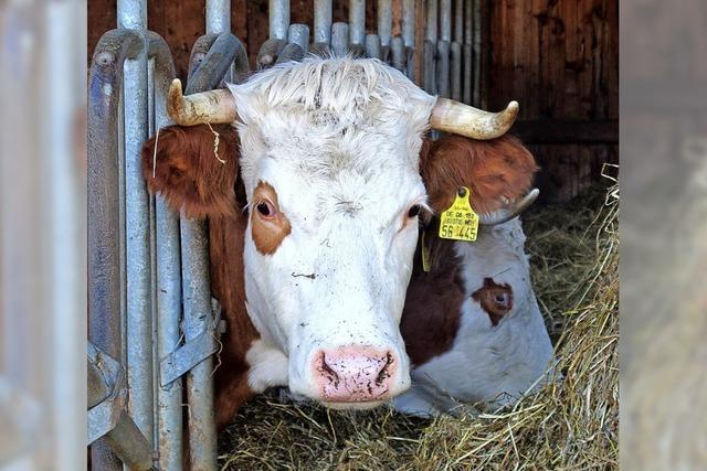 Zur Zukunft der Landwirtschaft